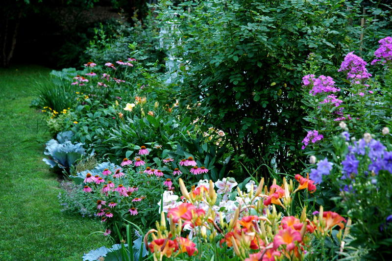 same border in Mid-Summer