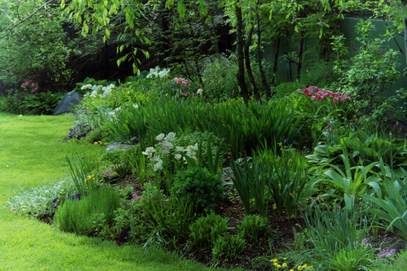 Springtime in Central Park Boathouse