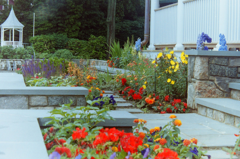 Poolsideinlatesummer